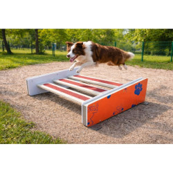 Aménagement extérieur pour chien - Animo concept