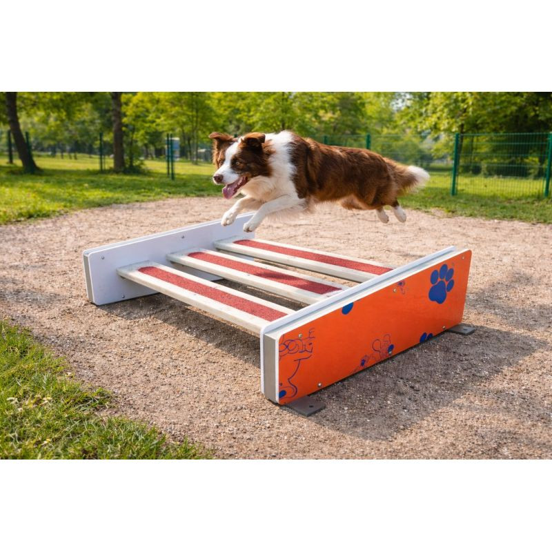 Aménagement extérieur pour chien - Animo concept