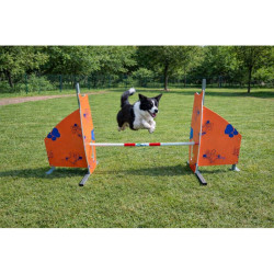 Haie d'agility pour chien - Animo concept