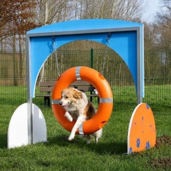 Pneu d'agility pour chien - Animo concept