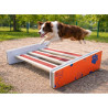 Saut en longueur pour parcours d'agility  - Animo concept