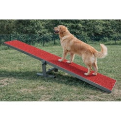 Aménagement extérieur pour chien - Animo concept