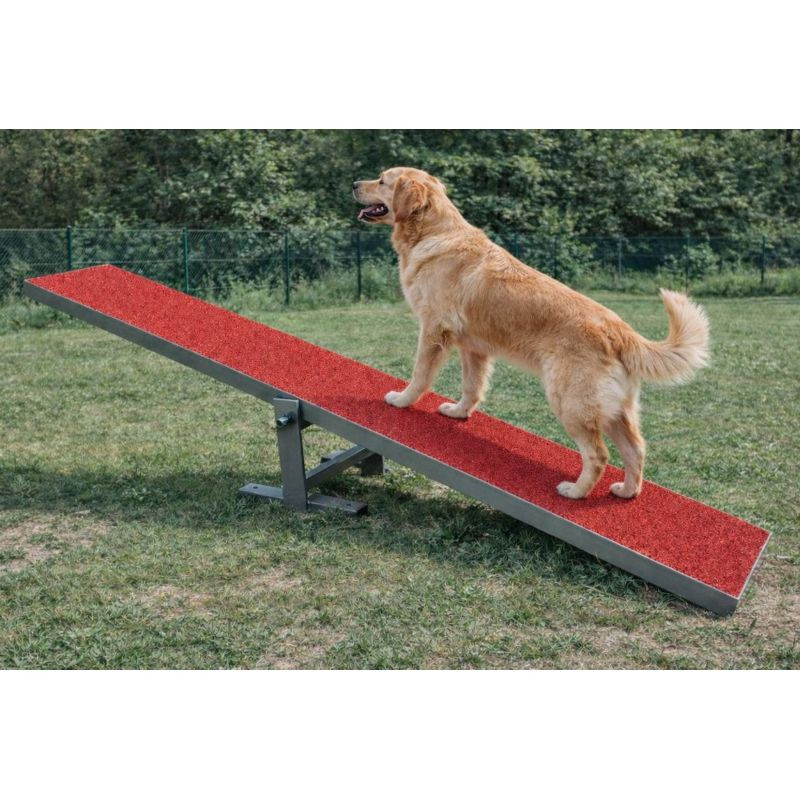 Aménagement extérieur pour chien - Animo concept