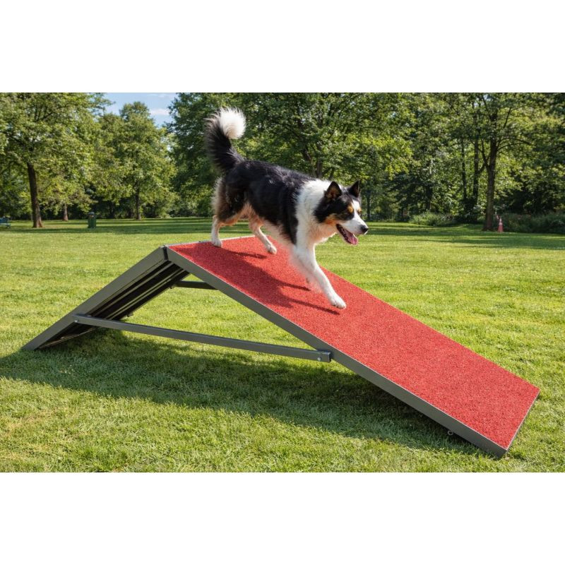 Palissade d'agility pour chien - Animo concept