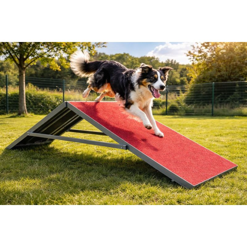 Palissade d'agility pour chien - Animo concept