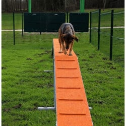 Passerelle d'agility pour chien - Animo concept