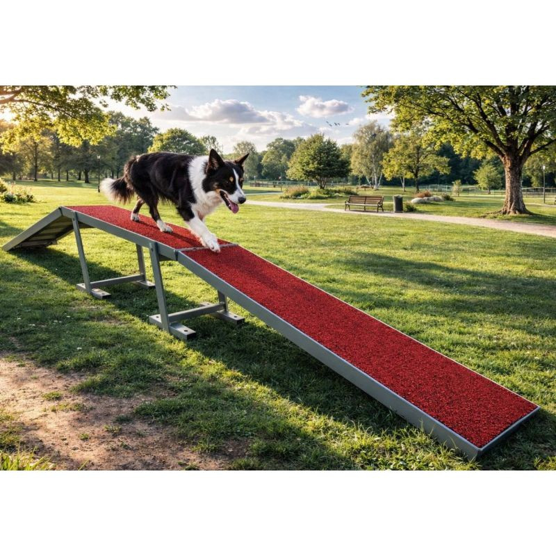 Passerelle d'agility pour chien - Animo concept