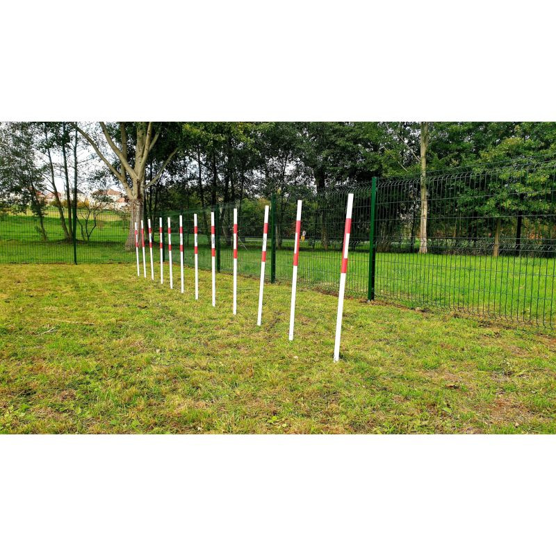 Slalom d'agility pour chien - Animo concept