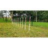 Slalom d'agility pour chien - Animo concept
