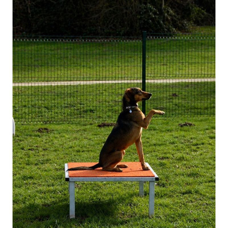 Table d'obéissance pour chien - Animo concept