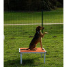 Table d'obéissance pour chien - Animo concept