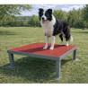 Table d'obéissance pour chien - Animo concept