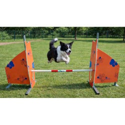 Haie d'agility pour chien - Animo concept