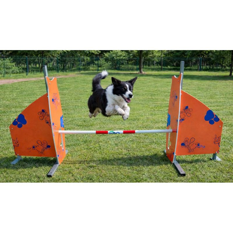 Haie d'agility pour chien - Animo concept