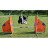 Haie d'agility pour chien - Animo concept