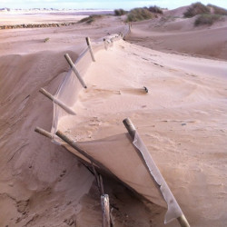Barrière de protection anti ensablement - Protect Dune