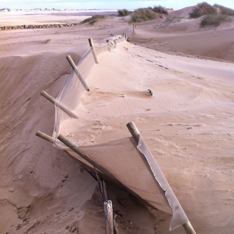 Barrière de protection anti ensablement - Protect Dune