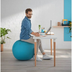 Ballon d'assise ergonomique et élégant Leitz