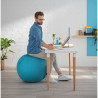 Ballon d'assise ergonomique et élégant Leitz