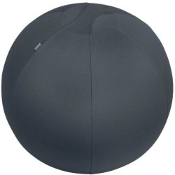 Ballon d'assise Leitz ergo