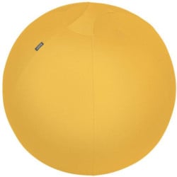 Ballon d'assise Leitz ergo