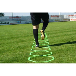 Echelle training