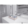 Distributeur en inox de mouchoirs