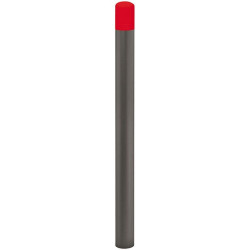 Potelet pour établissement scolaire Procity - Pommeau couleur