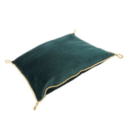 Coussin en velours de cérémonie