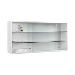 Armoire médicale murale - Portes en verre