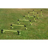 Lot de 6 haies eps