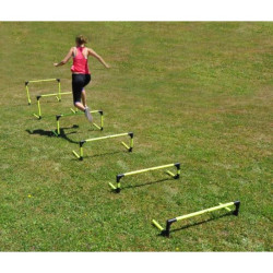 Lot de 6 haies eps