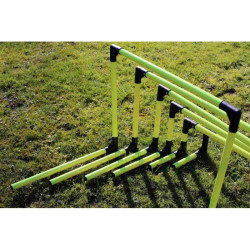 Lot de 6 haies eps
