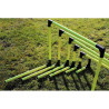 Lot de 6 haies eps