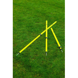 Lot de 5 piquets télescopiques de slalom