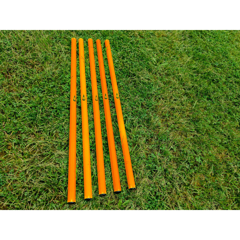 Lot de 5 jalons de slalom