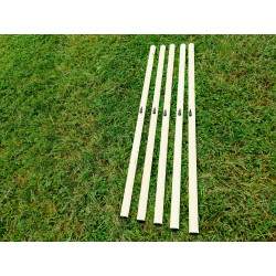 Lot de 5 jalons de slalom – 80 ou 160 cm