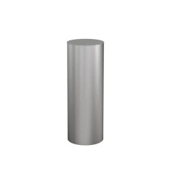 Borne Inox Procity