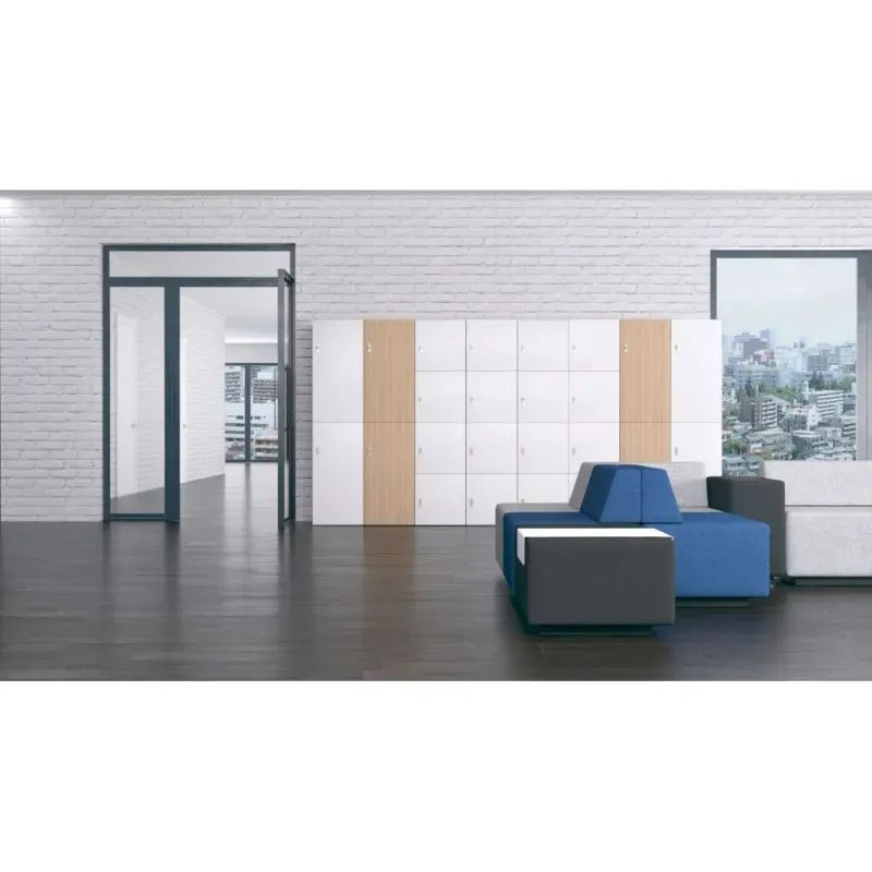 Armoire de bureau avec casiers pour vêtements et effets personnels