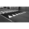 Plateau de ralentissement Zebra, version avec ou sans passage piétons